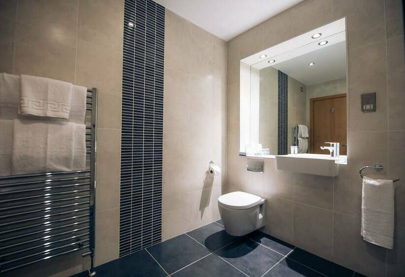اتاق استاندارد یک نفره, Rosspark Hotel Kells