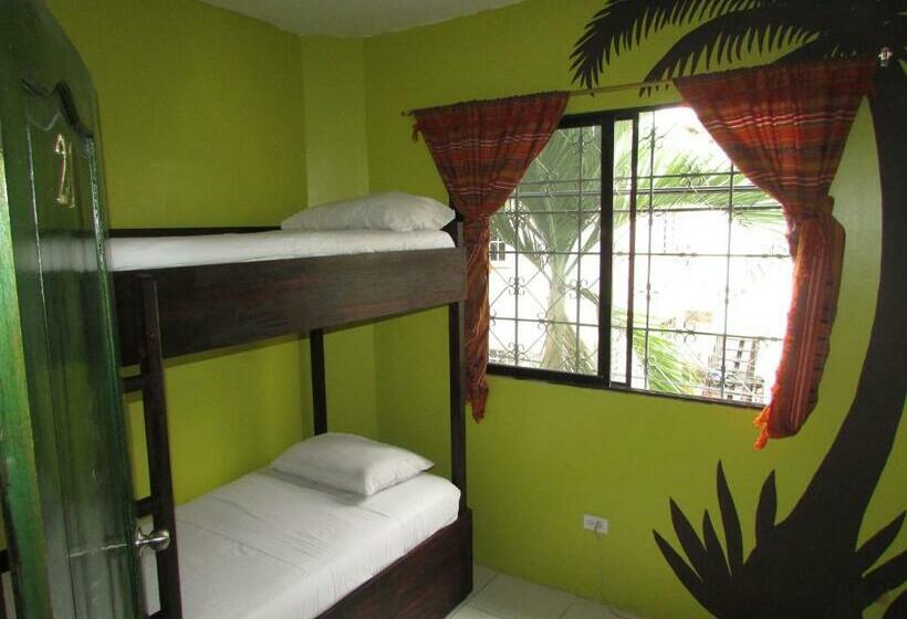 تختخواب در اتاق مشترک, Dreamkapture Hostel Close To The Airport And Bus Terminal