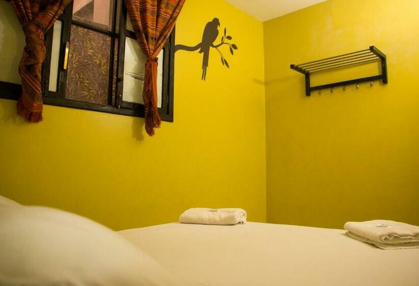 اتاق استاندارد با سرویس بهداشتی مشترک, Dreamkapture Hostel Close To The Airport And Bus Terminal