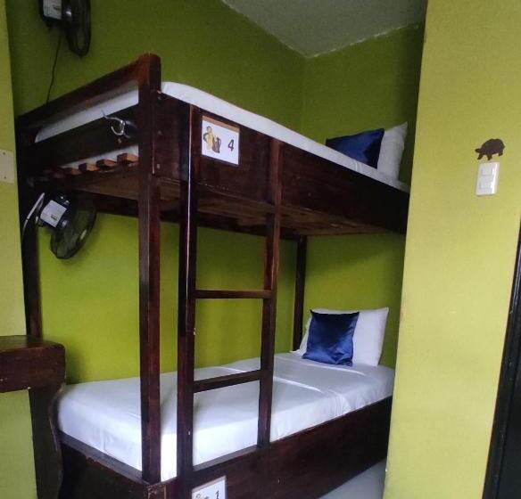 تختخواب در اتاق مشترک, Dreamkapture Hostel Close To The Airport And Bus Terminal
