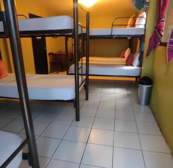 اتاق خانوادگی, Dreamkapture Hostel Close To The Airport And Bus Terminal