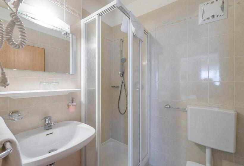 חדר אקונומי, Garni Hotel Ritterhof