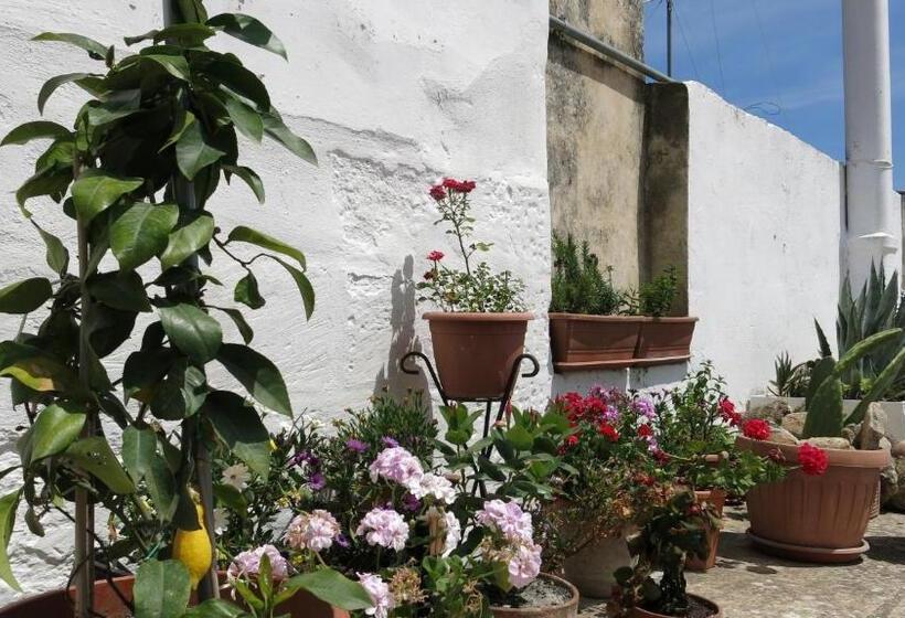 اتاق استاندارد با تراس, Volver B&b