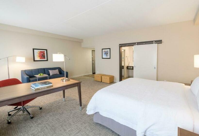 Люкс Кровать Кинг, Hampton Inn & Suites Tulsa Downtown
