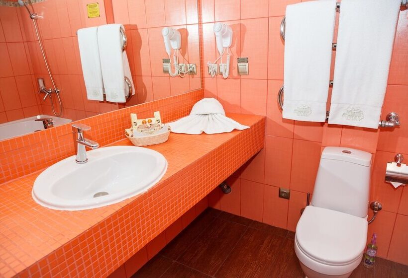 디럭스 룸, Guest House Blizhnie Dubki