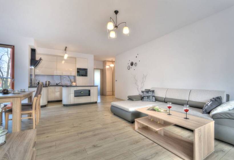 شقة ديلوكس غرفة واحدة, Dom & House   Apartments Sopot Kamienny Potok
