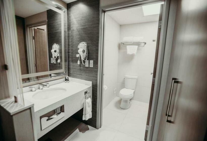 غرفة قياسية, Araiza San Luis R.c