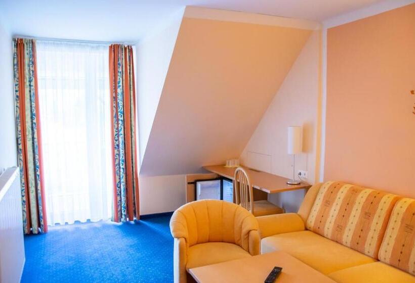 آپارتمان 1 خوابه با بالکن, Strandhotel Burgstaller