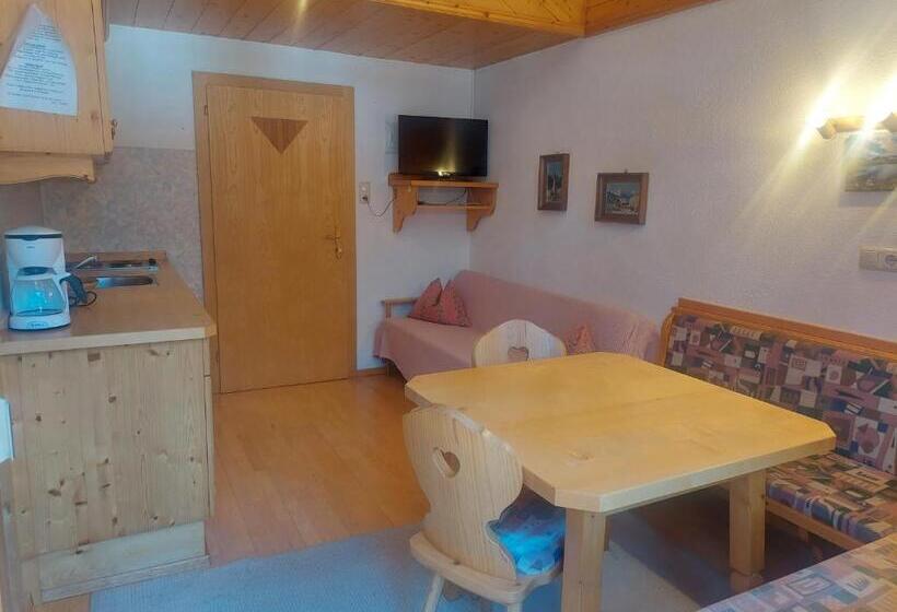 Апартаменты 1 Спальня, Pension Graber Krimml