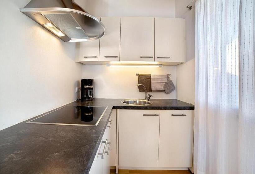 １ベッドルームのスーペリアアパートメント, Fröhlichhof Wohnung Panorama