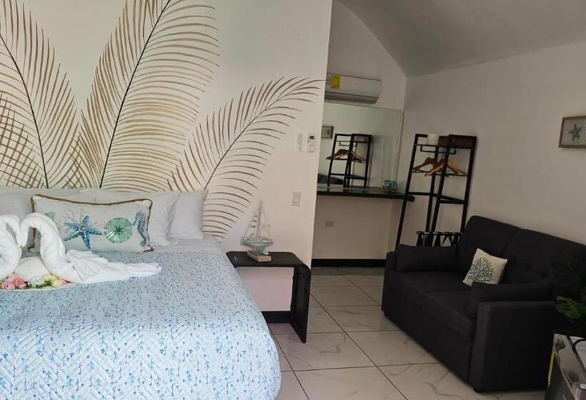 اتاق استاندارد با تخت بزرگ, Alborada Boutique Stay