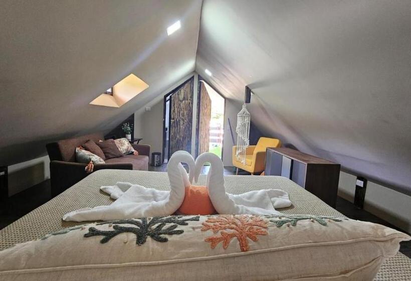 اتاق استاندارد, Alborada Boutique Stay