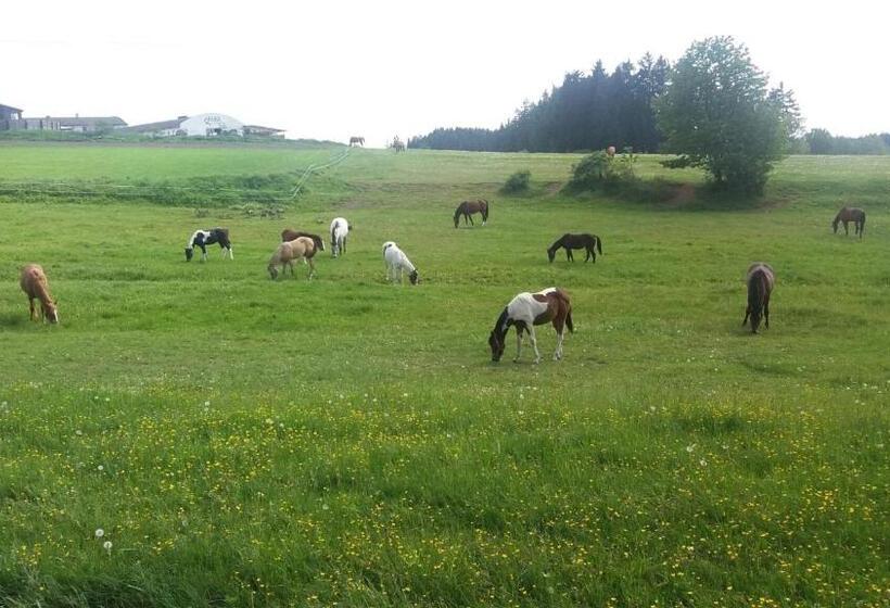Трехместный Номер Deluxe, Q Ranch