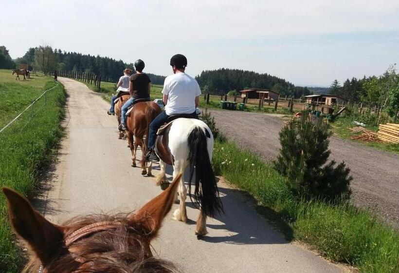 Четырехместный Номер Deluxe, Q Ranch