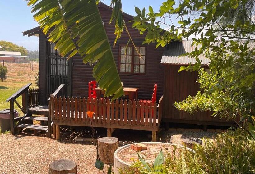 Номер Economy, Homestead Bed And Breakfast