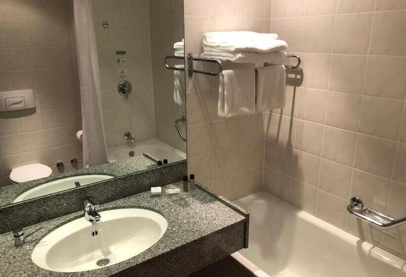 Полулюкс, Clayton Hotel Leopardstown