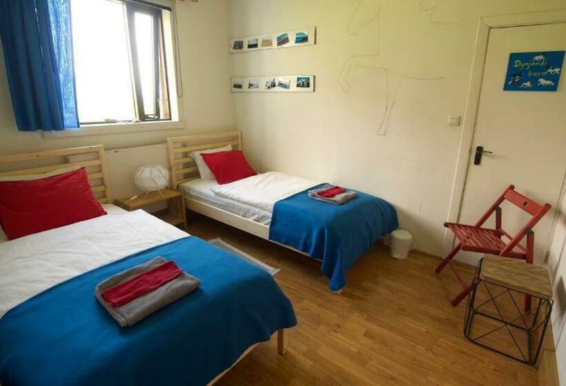 اتاق اکونومی, Dynjandi Guesthouse