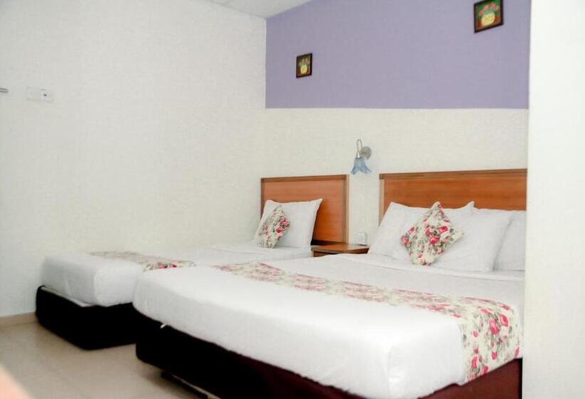 اتاق استاندارد سه نفره, D View Mersing