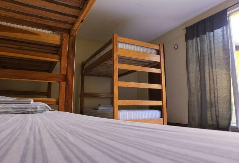 تختخواب در اتاق مشترک, Hostal La Buena Onda