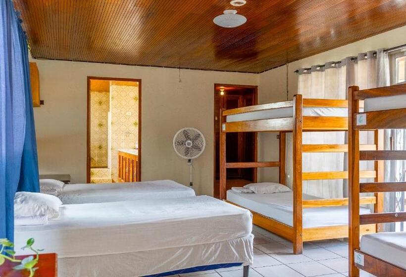 تختخواب در اتاق مشترک, Hostal La Buena Onda