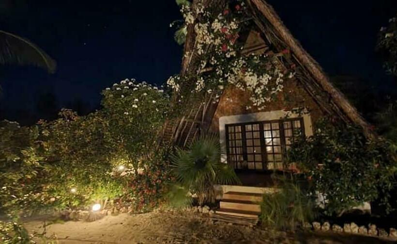 스탠다드 방갈로, Belvedere Resort