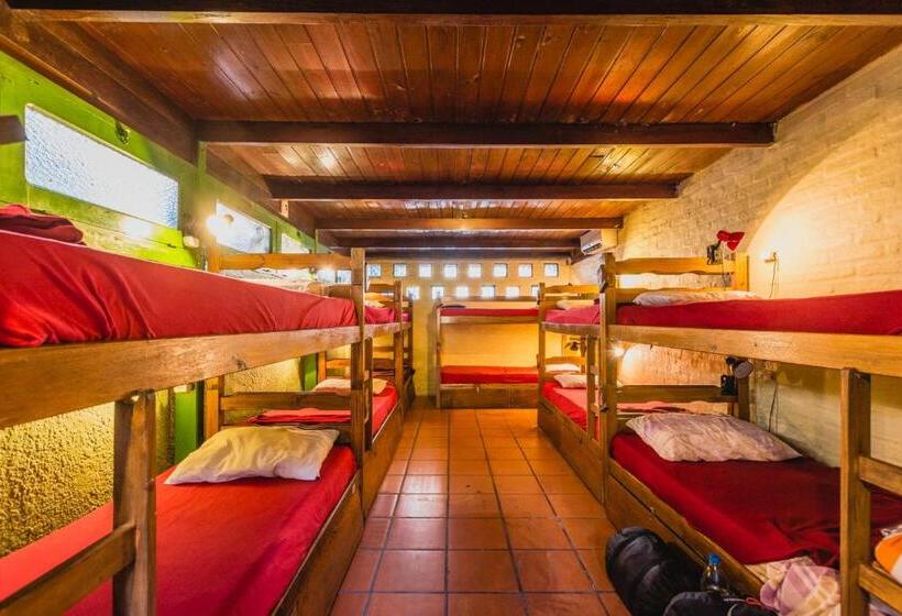 Cama en Habitación Compartida, The Trip Hostel