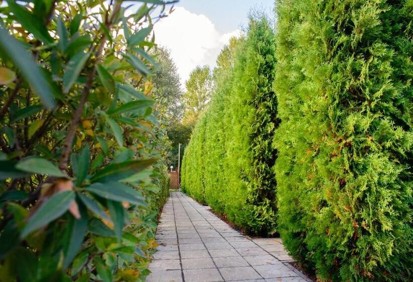بانگلوی استاندارد, Petrovskyi Brovar