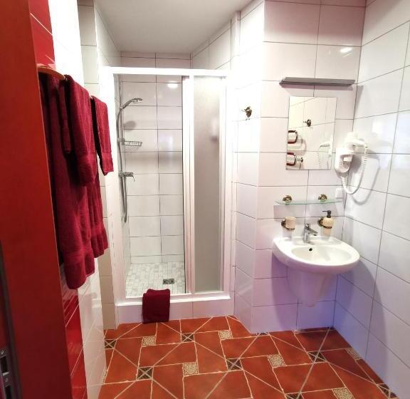 اتاق استاندارد, Galia Apartments In Druskininkai