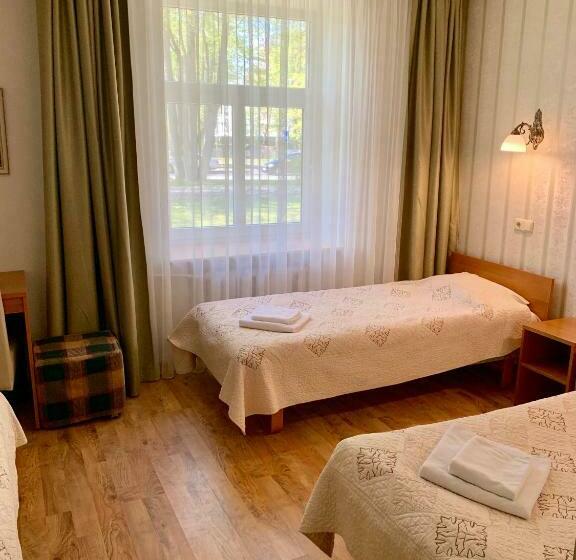 Economy Triple Room, Raze