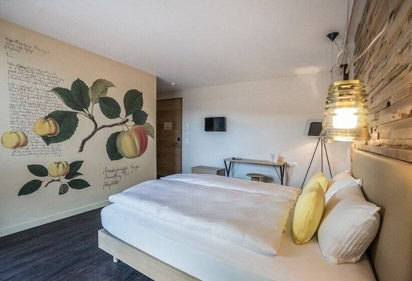 غرفة كلاسيكية فردية, Greuterhof Islikon