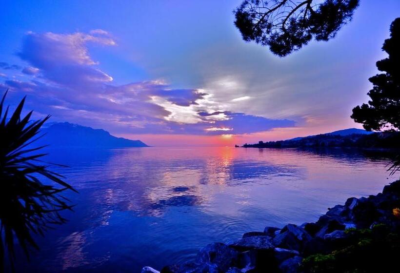 اتاق استاندارد یک نفره, Splendid