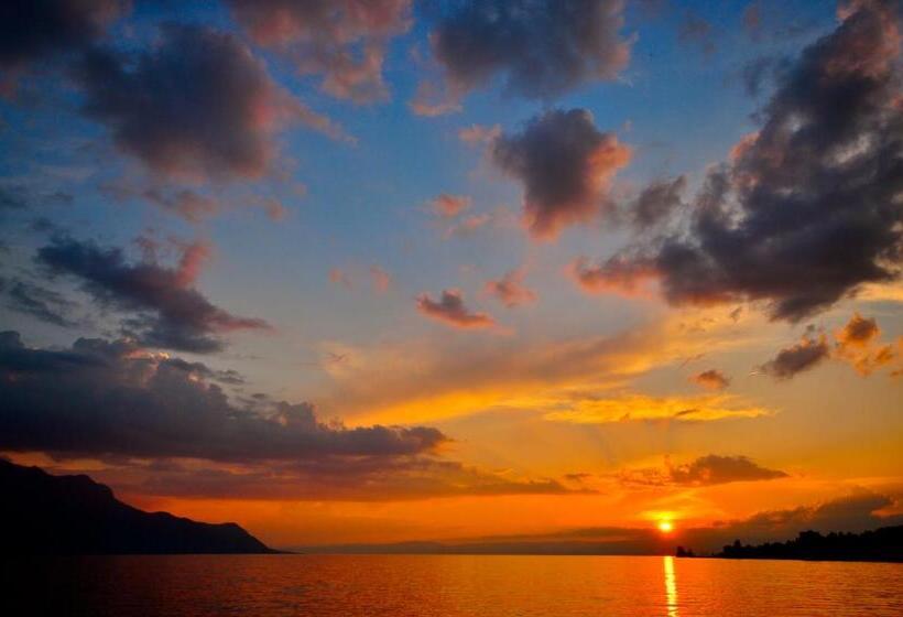 اتاق استاندارد یک نفره, Splendid
