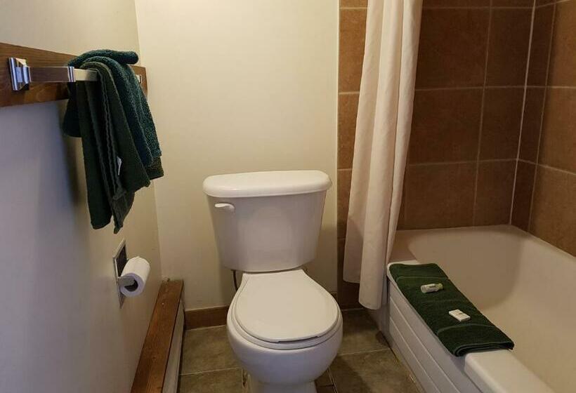 חדר סטנדרט, Caravan Motel