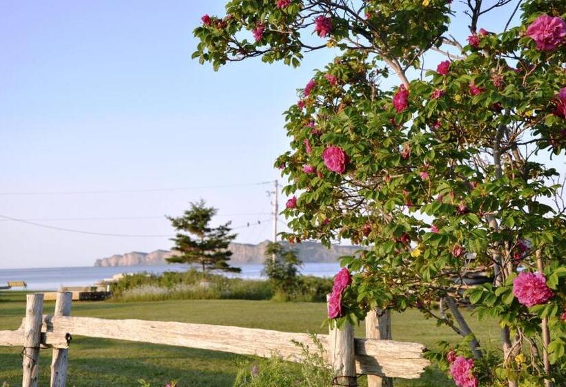 בקתת חדר, Motel Du Haut Phare