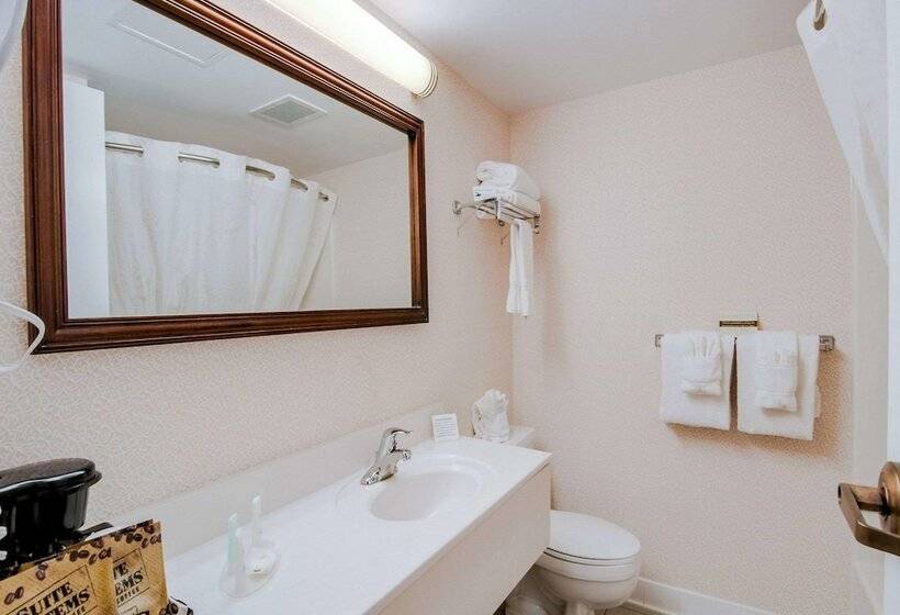 Номер Стандарт 2 Двуспальные Кровати, Comfort Inn Virginia Horse Center