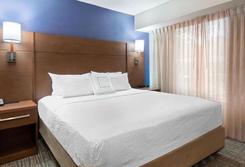 标准工作室, Residence Inn By Marriott Tampa At Usf/medical Center