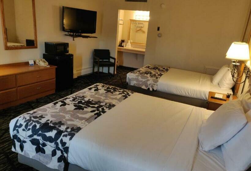 Номер Стандарт, Skyline Motor Inn