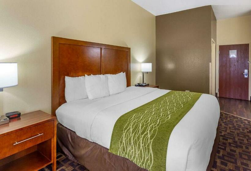 장애인을 위한 킹사이즈 침대 스탠다드 룸, Comfort Inn & Suites North Aurora   Naperville