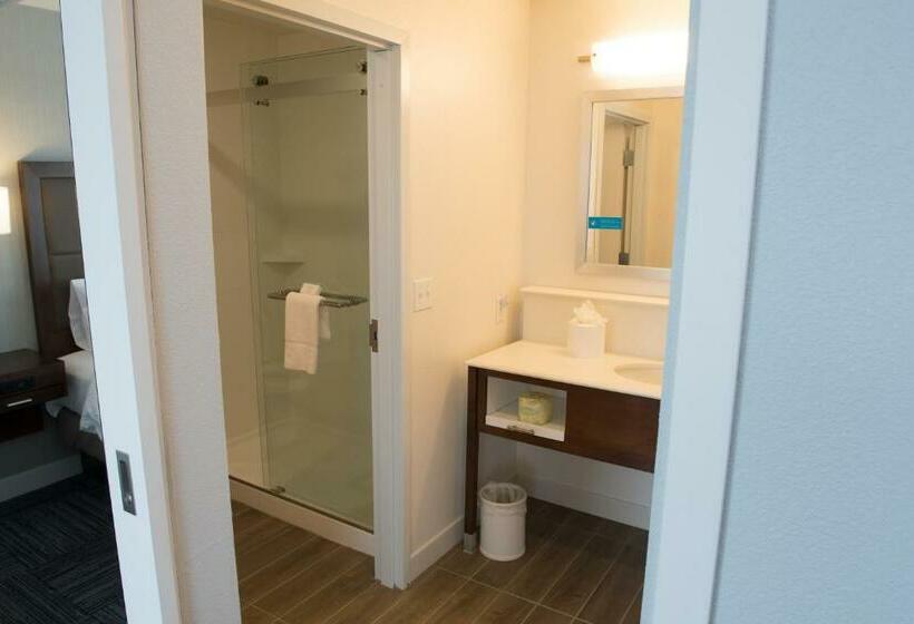 Люкс Executive Кровать Кинг, Hampton Inn & Suites Bay City
