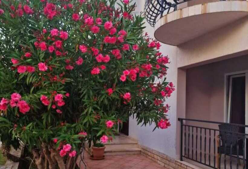 اتاق استاندارد, Pansion Belvedere
