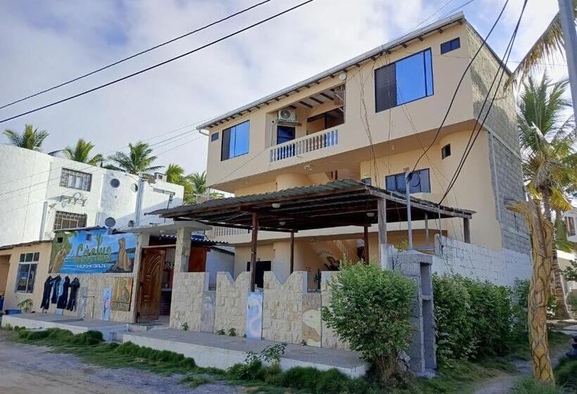 Номер Стандарт Трехместный, Hostal Los Cactus