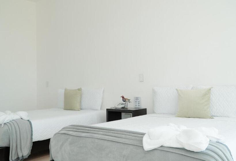 豪华房间, Rancho Macloy Hotel Spa & Social Events