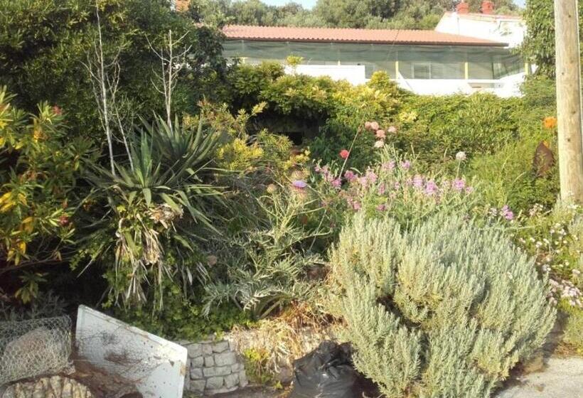 Номер Стандарт с Балконом, Guest House Green Corner Supetarska Draga