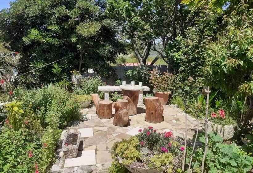 Студия Стандарт, Guest House Green Corner Supetarska Draga