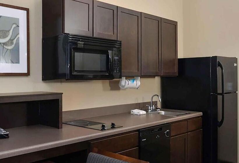 Студия Стандарт Кровать Куин, Extended Stay America Suites   Donaldsonville   Gonzales
