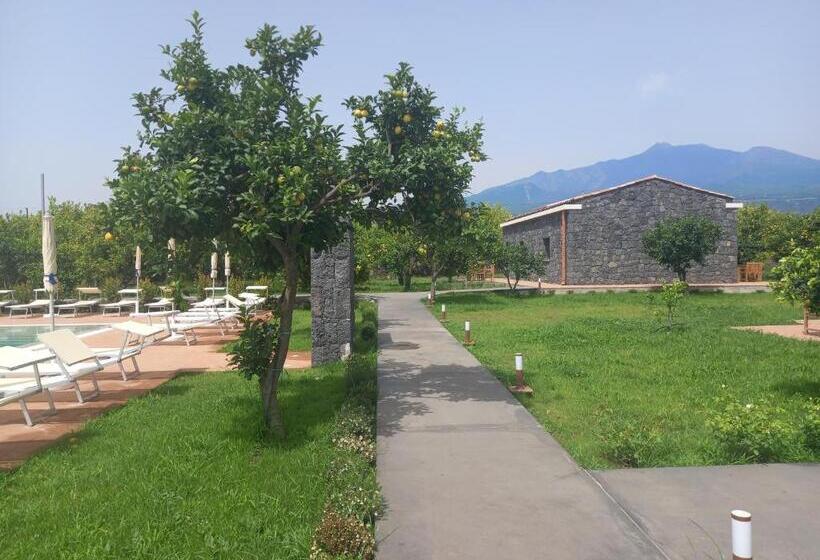 标准三人间, Agriturismo Lumia Resort