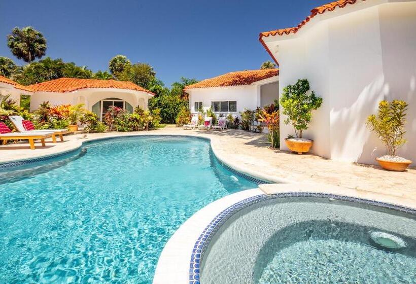 Бунгало Стандарт, El Encuentro Surf Lodge