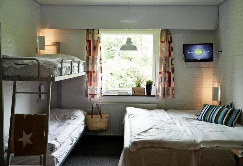 이코노미 트리플 룸, Sønderborg City Hostel