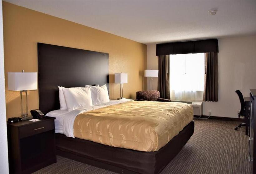 Стандартный Номер Кровать Кинг, Quality Inn & Suites Metropolis I24