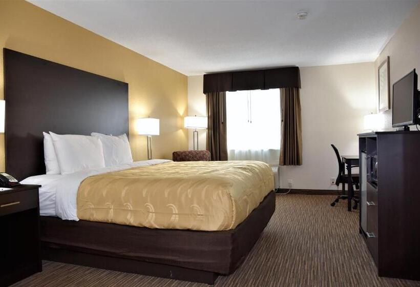 חדר סטנדרט עם מיטת קינג, Quality Inn & Suites Metropolis I24